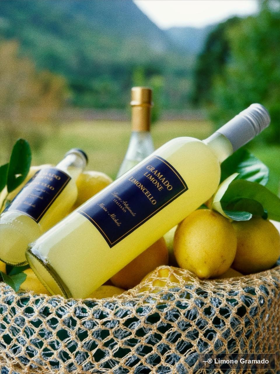 Garrafa de limoncello Limone Gramado com limões